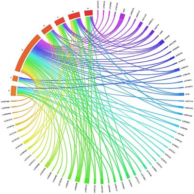 The Association of Polymorphisms in Circadian Clock and Lipid Metabolism Genes With 2nd Trimester Lipid Levels and Preterm Birth